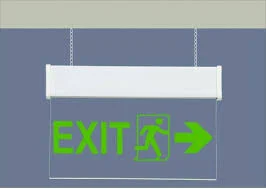TRANSPARENT EXIT LED LIGHT